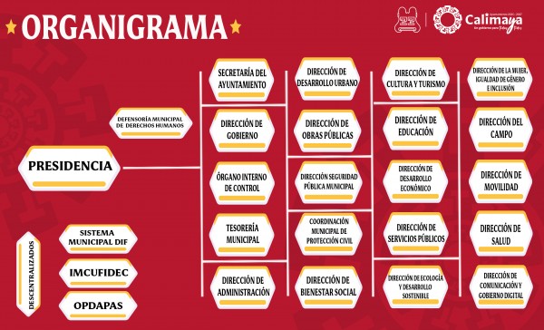 Organigrama