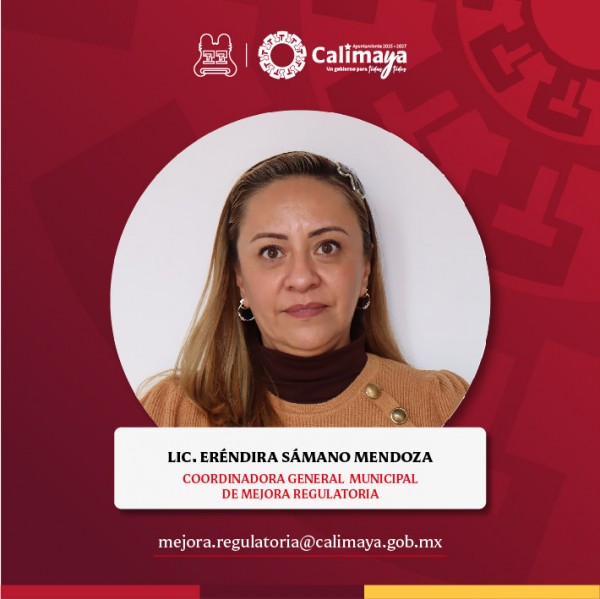 Mejora regulatoria