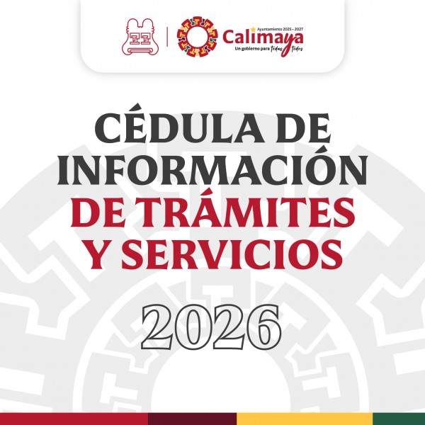 CÉDULAS REMTYS 2026